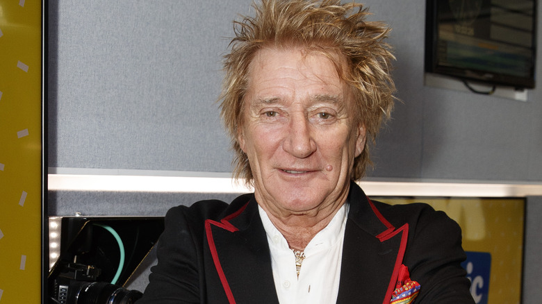 Rod Stewart sorride in primo piano