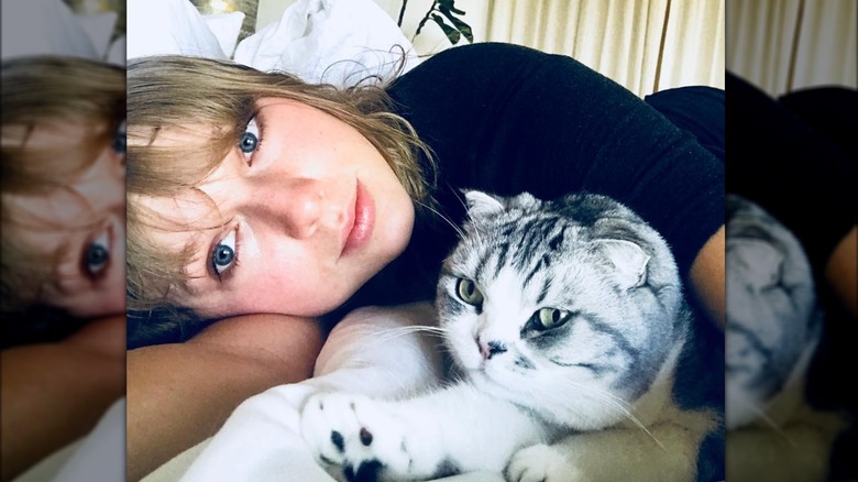 Gatto da letto senza trucco di Taylor Swift