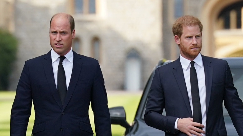 Il principe William e il principe Harry durante il walkabout reale del 2022