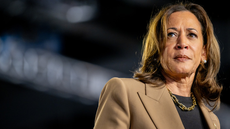 Kamala Harris parla a una manifestazione elettorale