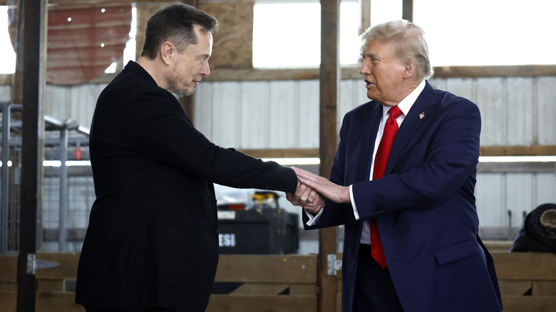 Elon Musk e Donald Trump si tengono per mano